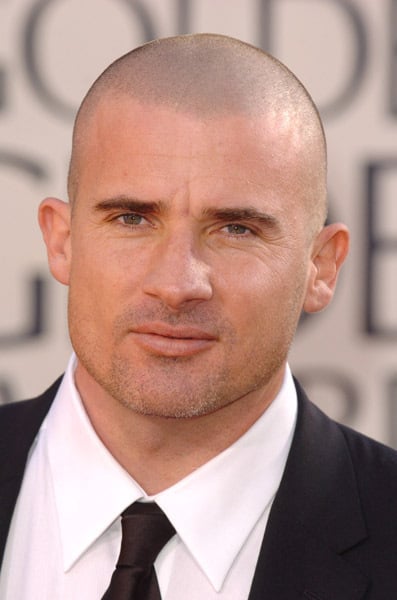 Dominic Purcell