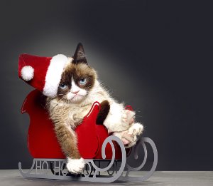 Grumpy Cat’s Worst Christmas Ever