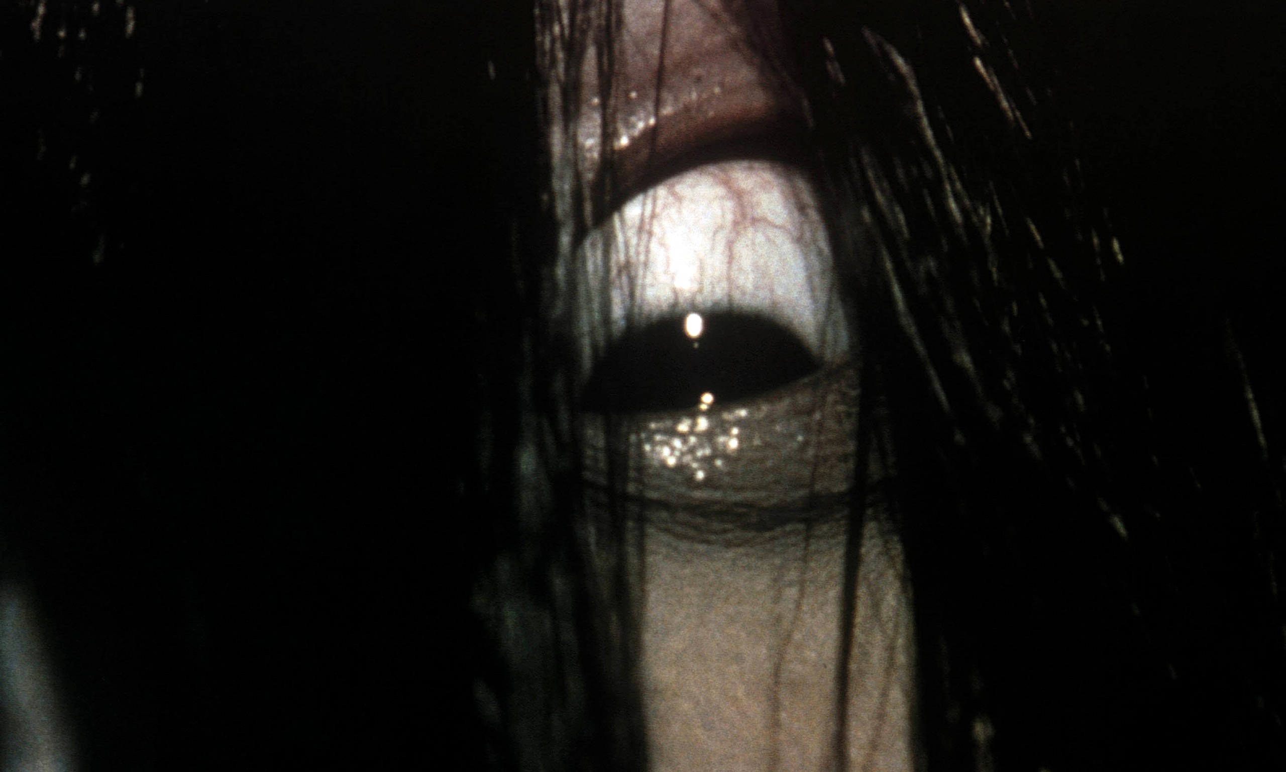 Ring: 18 años del horror japonés que cambió a Hollywood