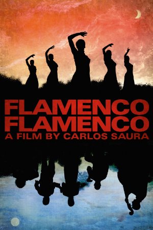 Flamenco, Flamenco