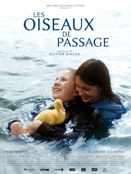 Les oiseaux de passage