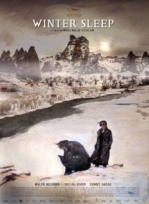 Sueño de Invierno