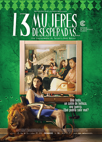13 Mujeres Desesperadas