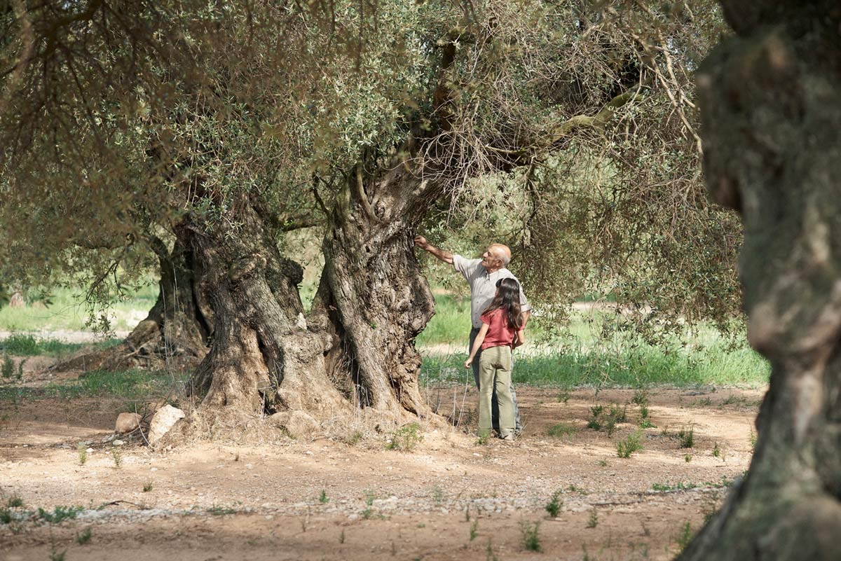 PROMO: Te regalamos pases dobles para la premiere de El Árbol del Abuelo