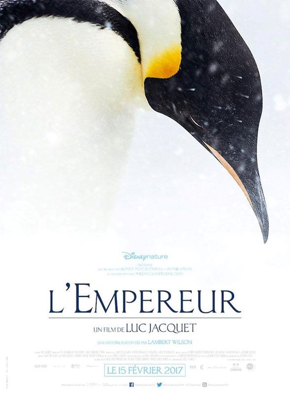 La Marcha de los Pingüinos 2