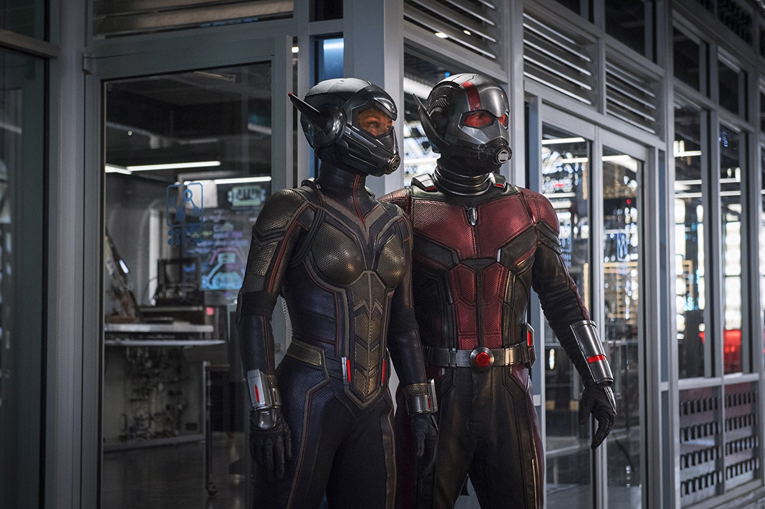 Cover Ant-Man and The Wasp – Primer Tráiler (subtitulado)