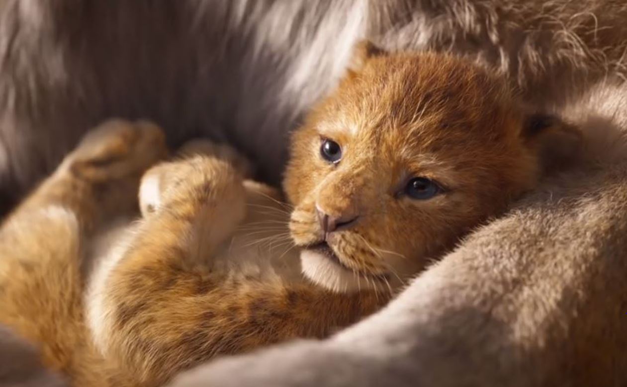 El Rey León: ¿Cómo se compara el tráiler con el clásico animado?