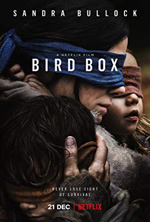 Bird Box: A Ciegas