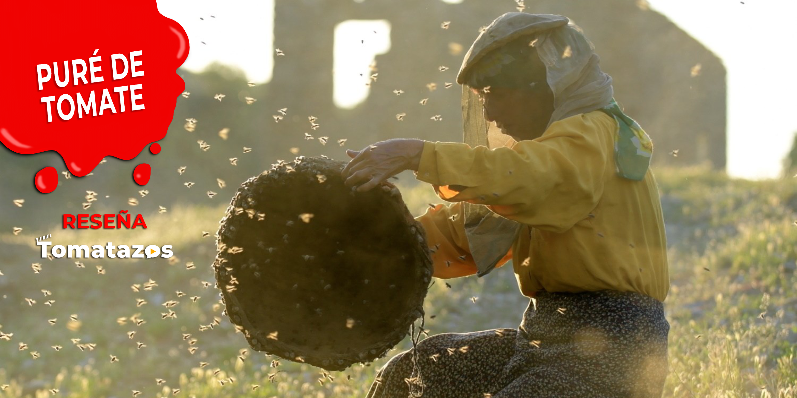 RESEÑA: Honeyland | El lado agridulce de la miel