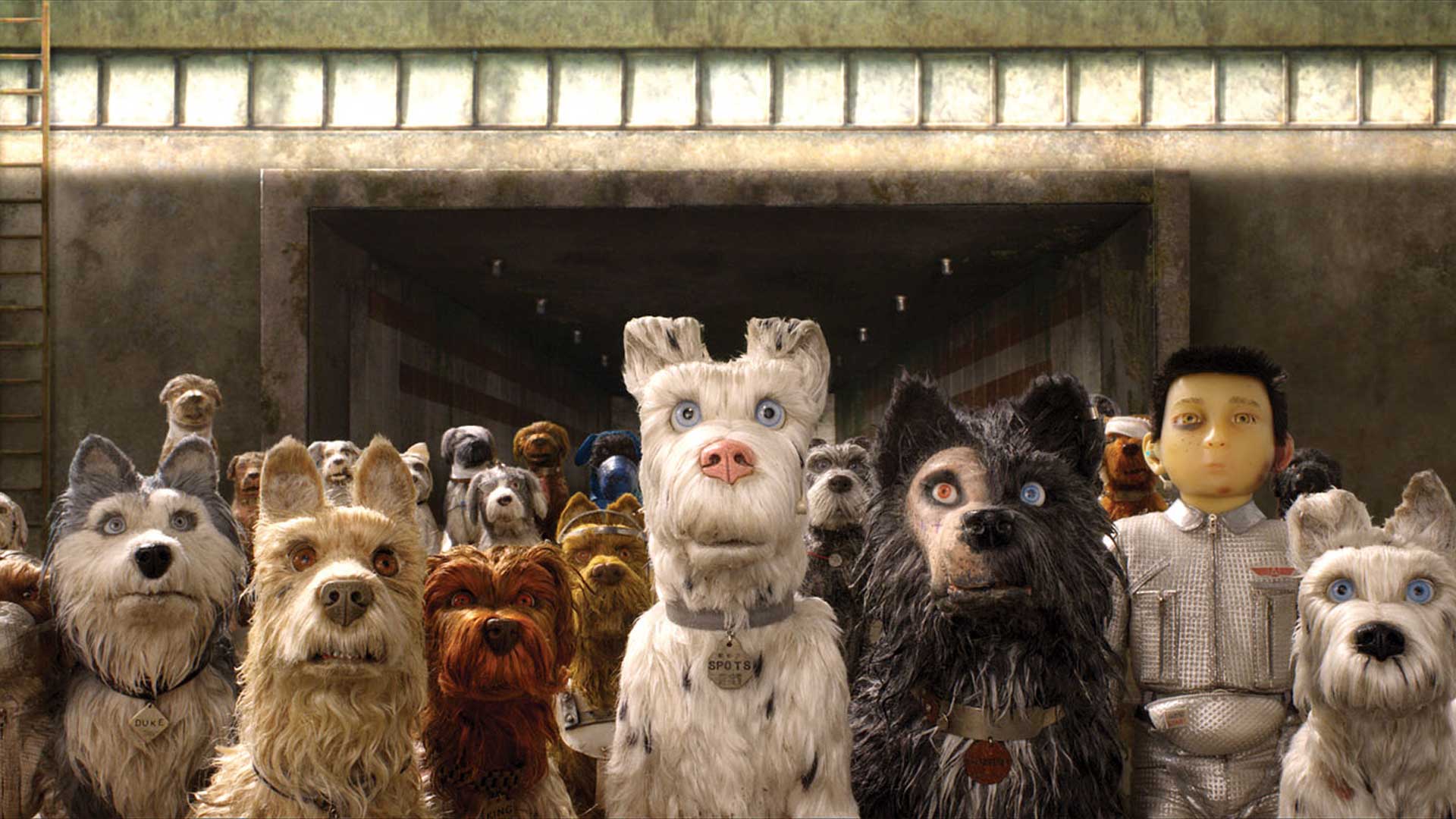 Isla de Perros puede verse gratuitamente en Cinépolis Klic hoy