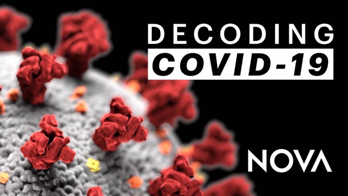 Decoding COVID-19