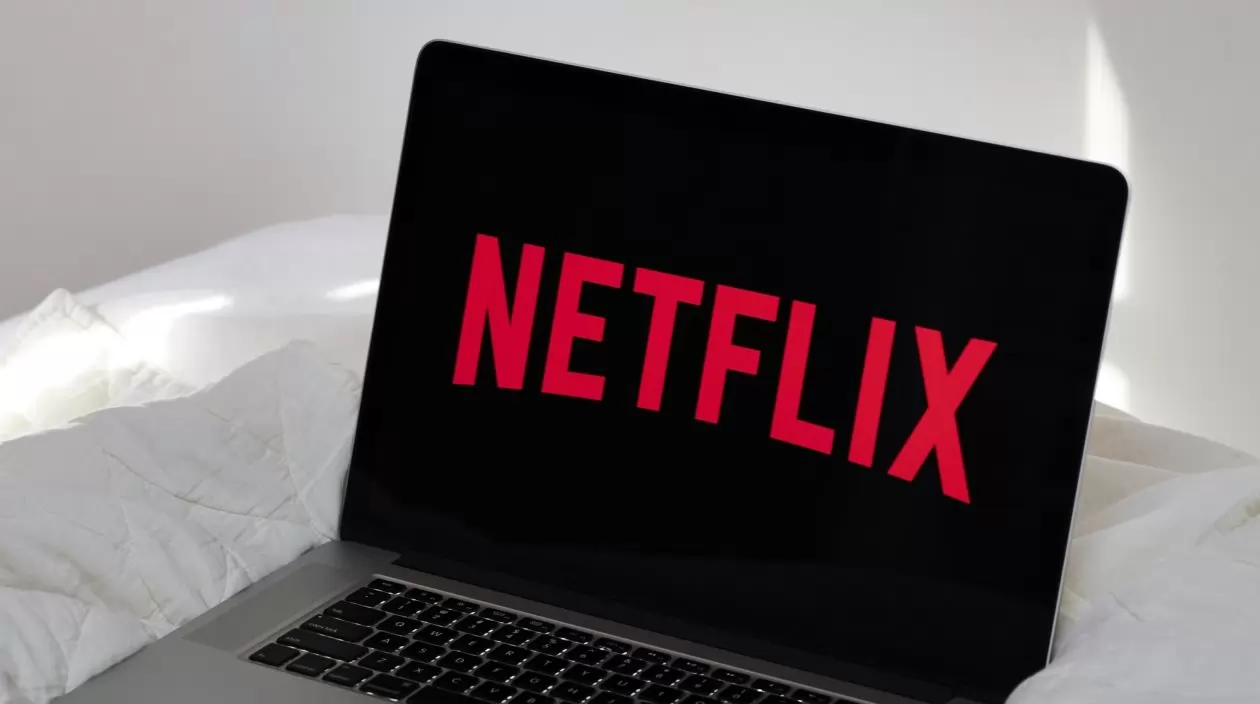 Se revela que los usuarios de Netflix solo consumen el 2% del catálogo en un año