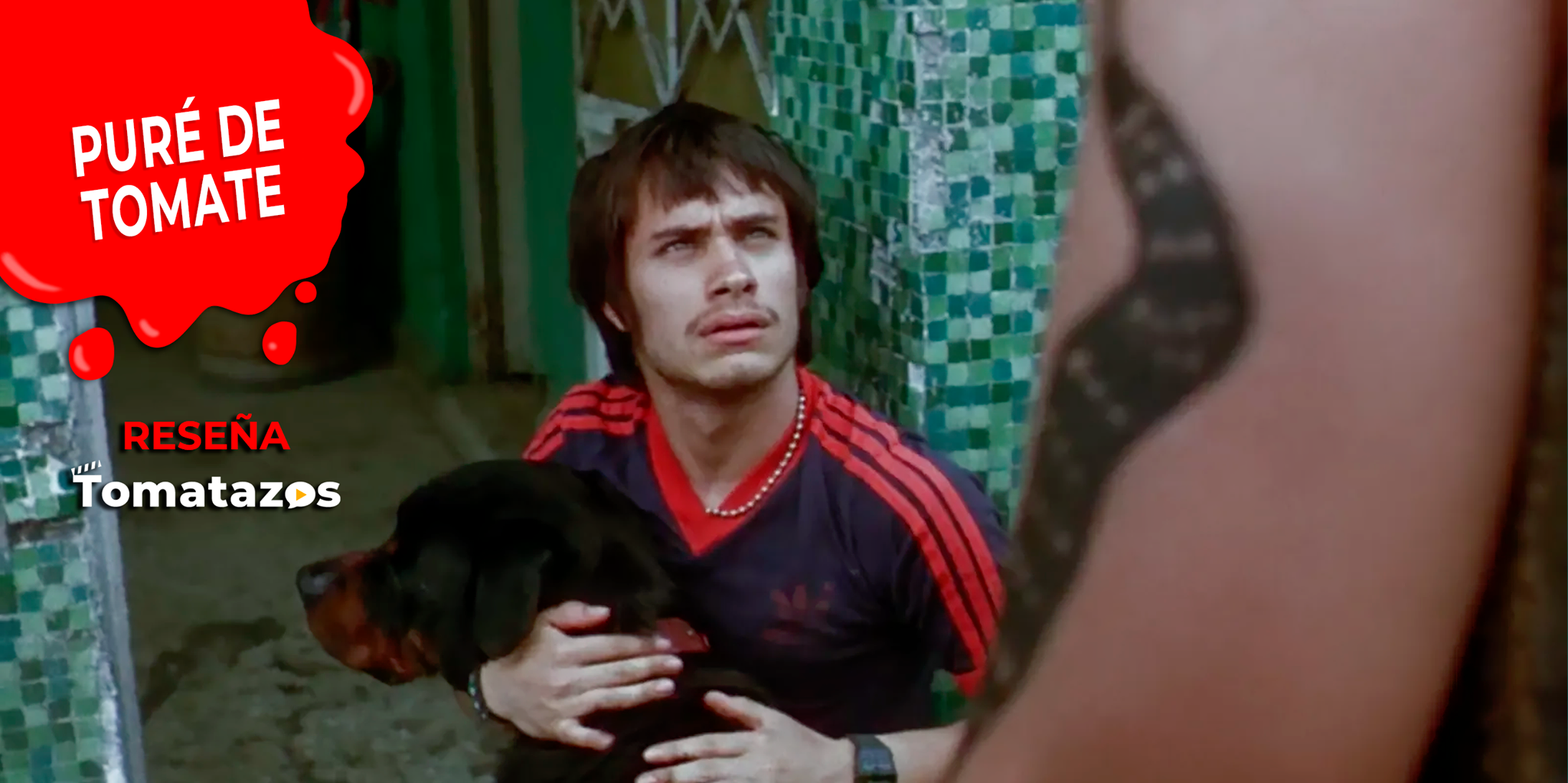 RESEÑA: Amores Perros | El nuevo clásico nacional está de regreso