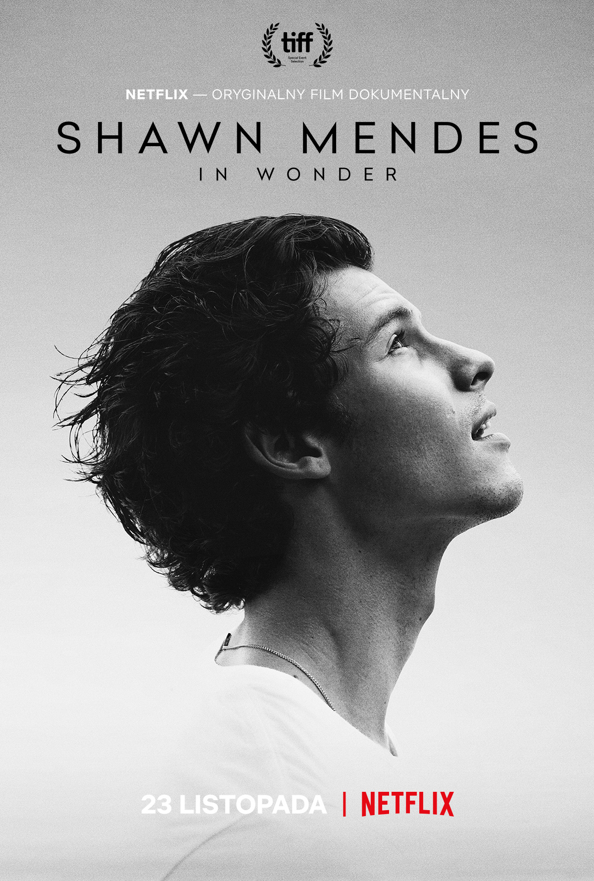 Shawn Mendes: In Wonder