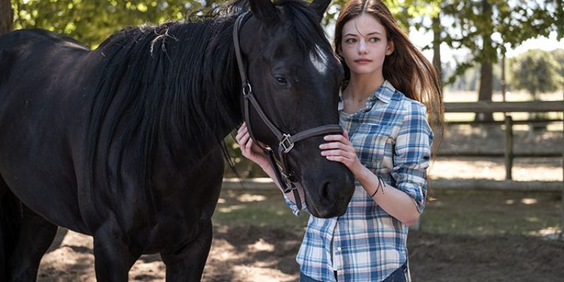 Tráiler de Black Beauty: película original de Disney Plus con Kate Winslet y Mackenzie Foy