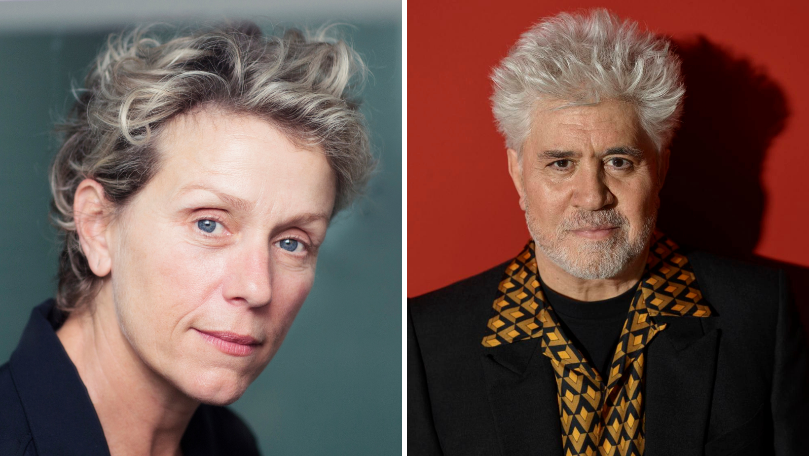 Frances McDormand asegura que se arrodillaría ante Pedro Almodóvar para hacer una película juntos