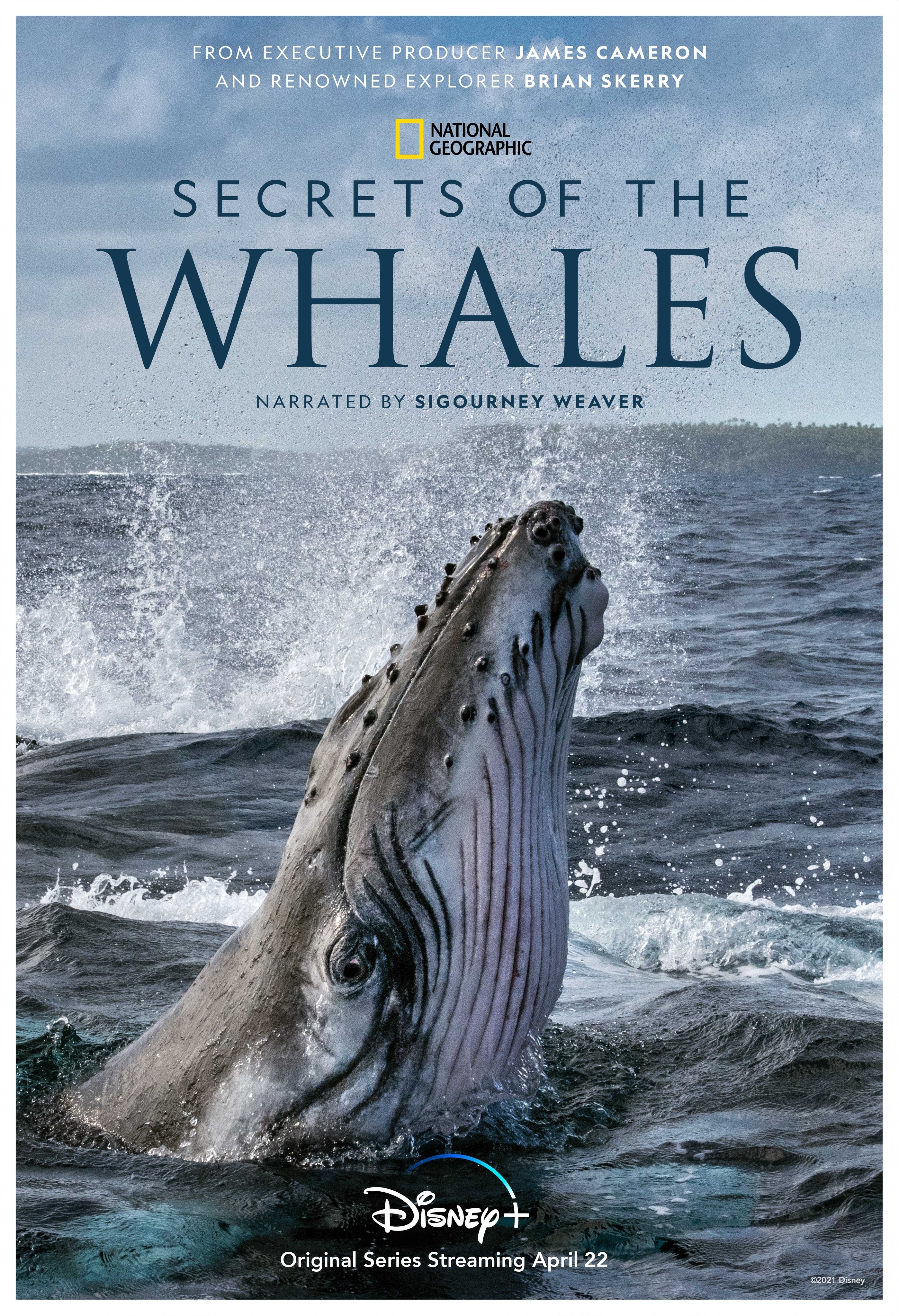 Secrets of the Whales Temporada 1