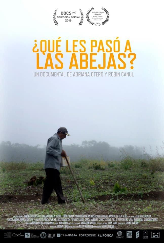 ¿Qué les pasó a las abejas?
