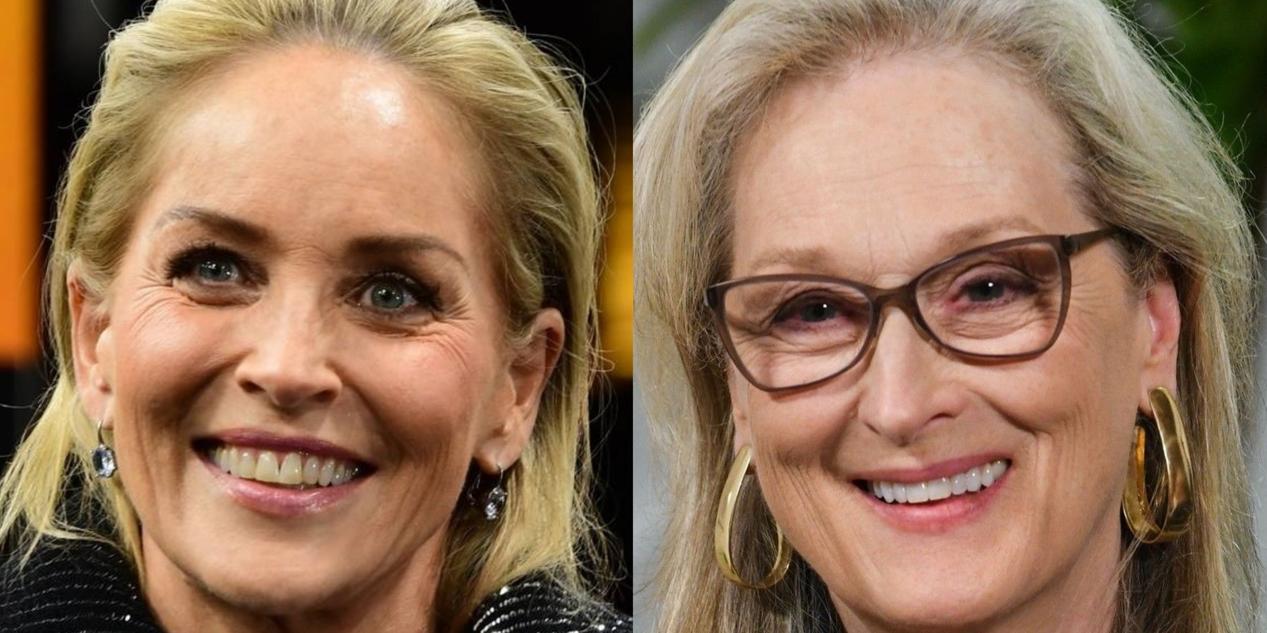 “Hay otras actrices igual de talentosas que Meryl Streep”, Sharon Stone critica la idolatría hacia la actriz