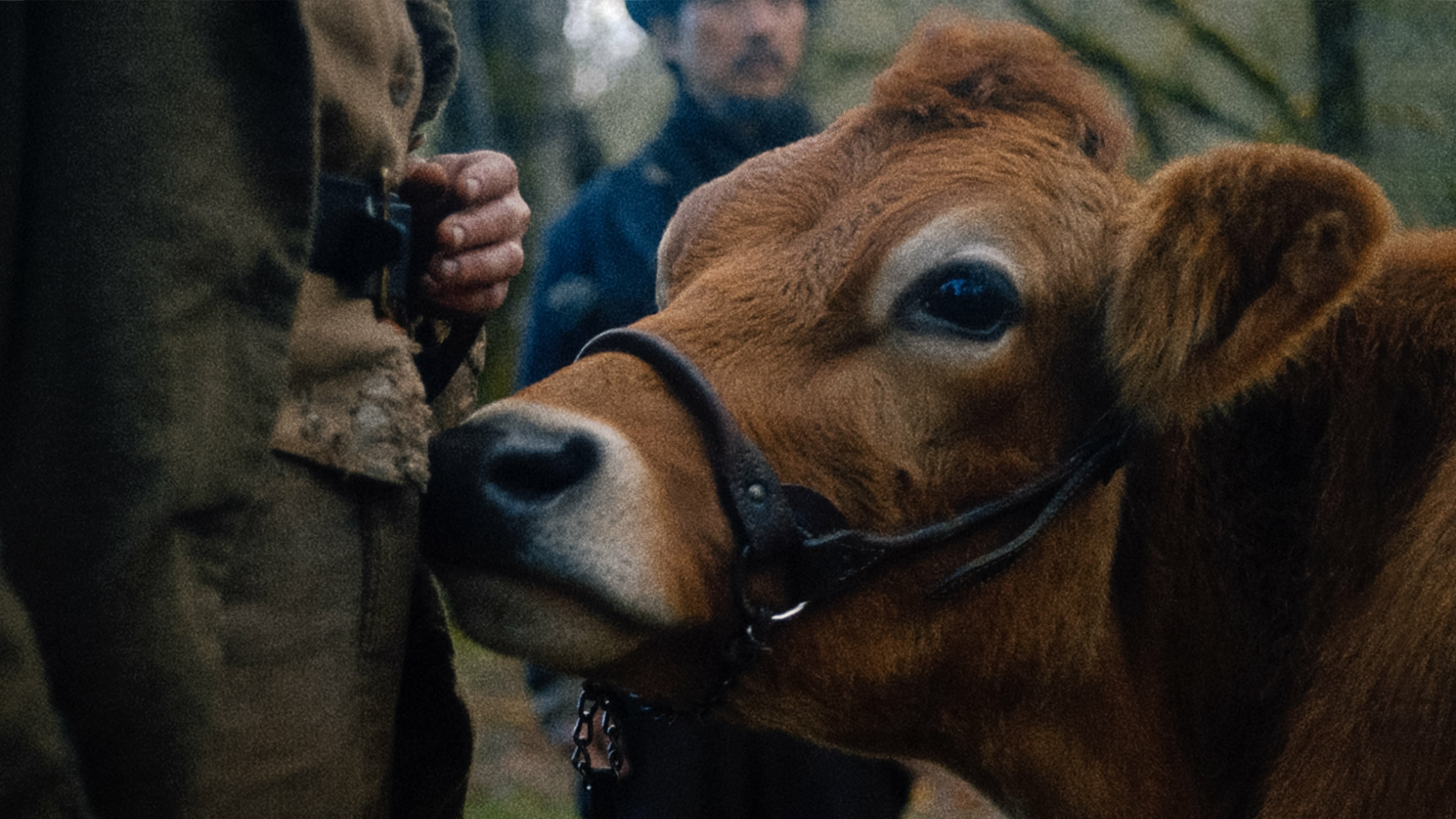 First Cow | Top de críticas, reseñas y calificaciones