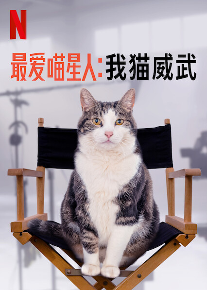 Gatos: Una oda al amor gatuno