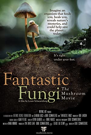 Hongos fantásticos