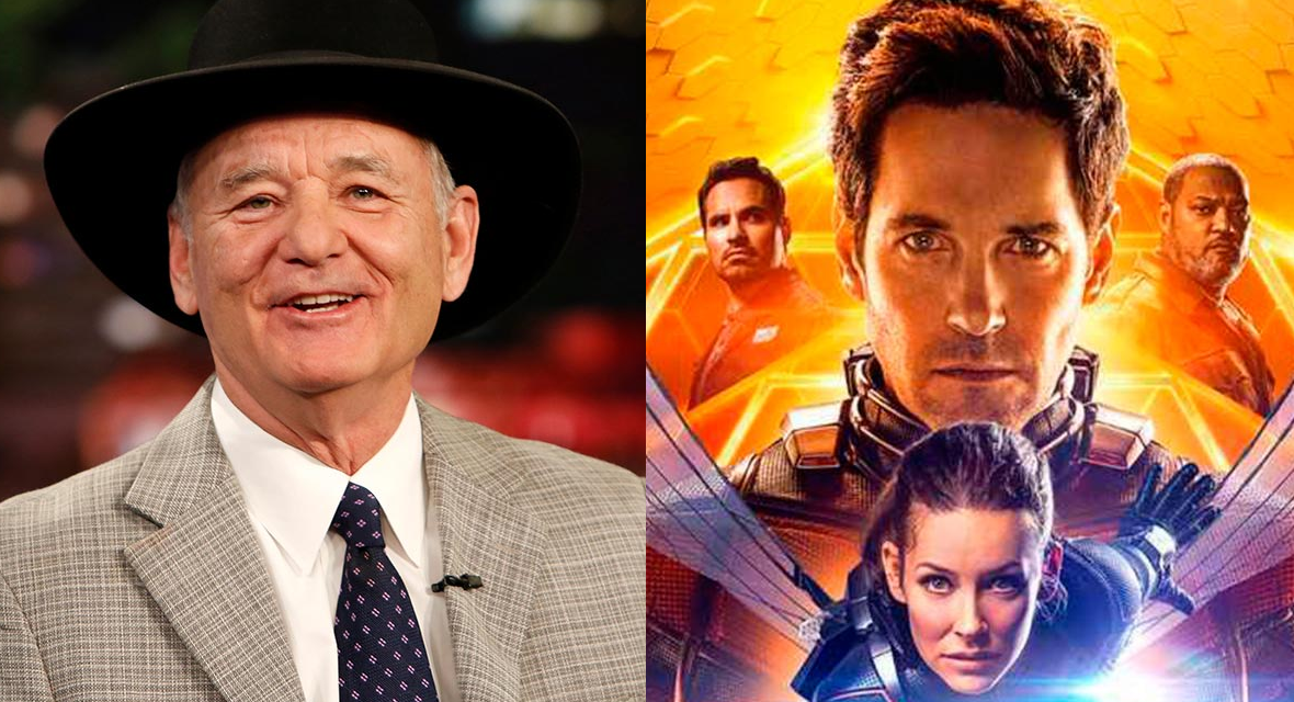 Bill Murray podría unirse al MCU en  Ant-Man And The Wasp: Quantumania