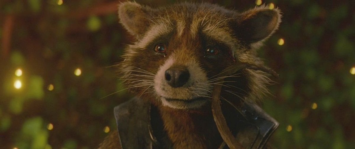 Aplauden a Rocket Raccoon por la representación del trauma de estrés postraumático