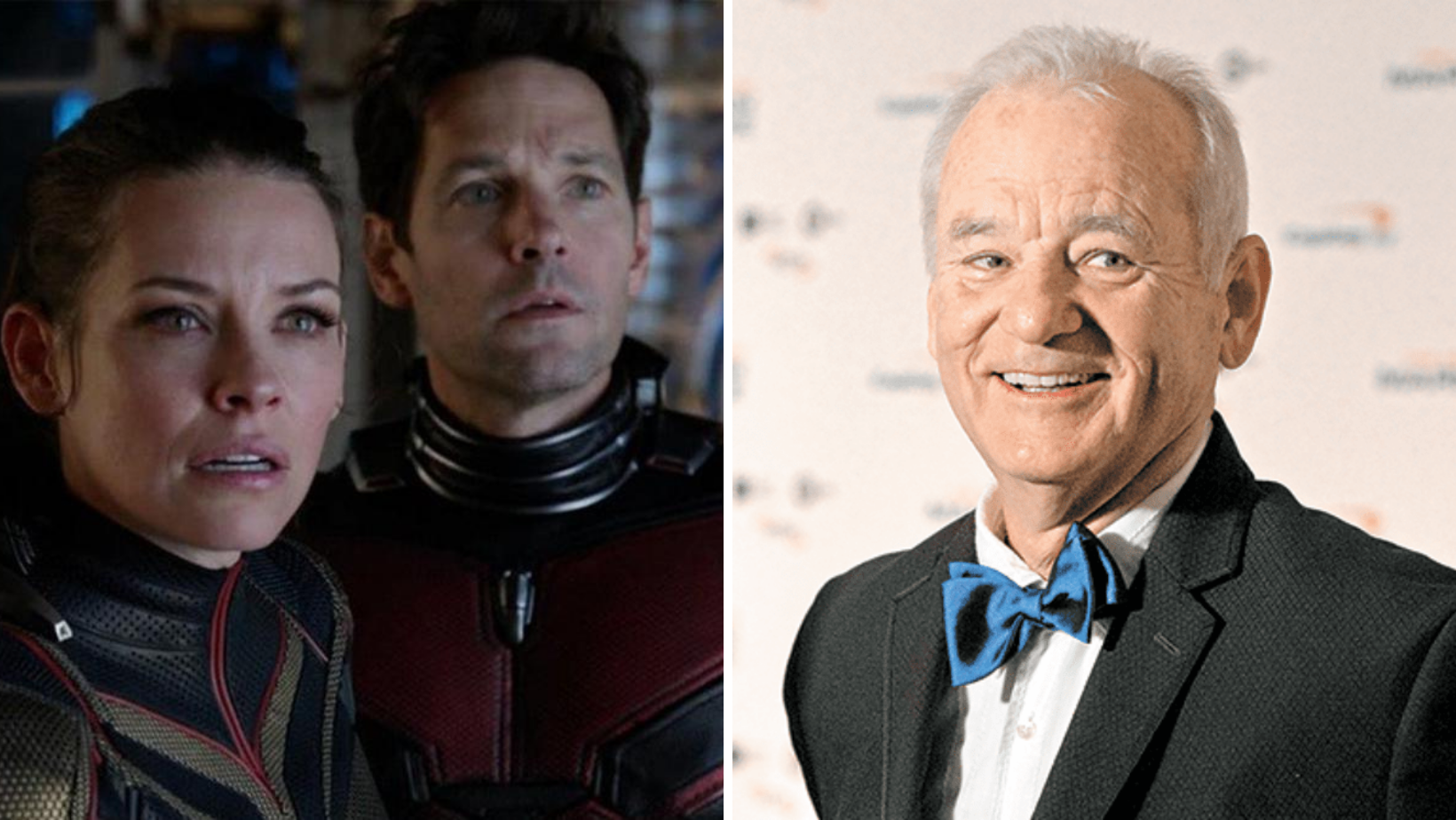 Bill Murray podría haber confirmado que será un villano en Ant-Man and the Wasp: Quantumania