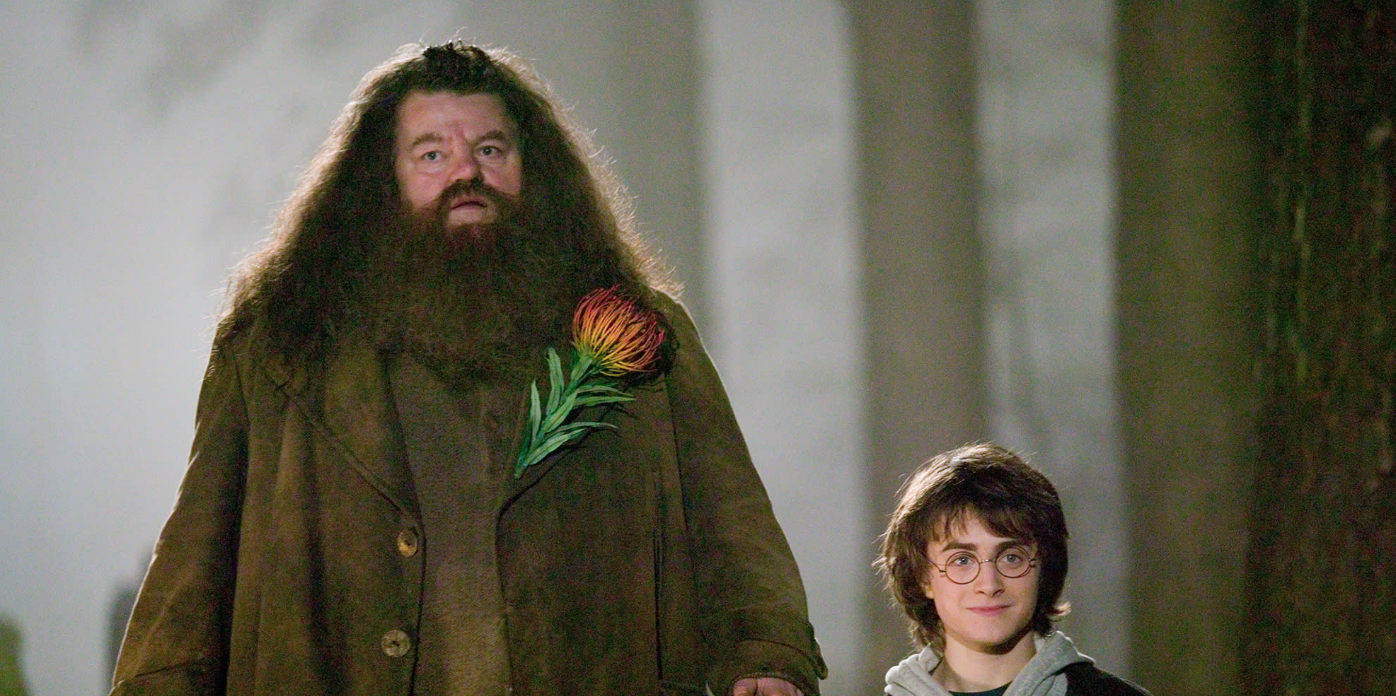 Falleció Robbie Coltrane, actor que diera vida a Hagrid en la saga Harry Potter