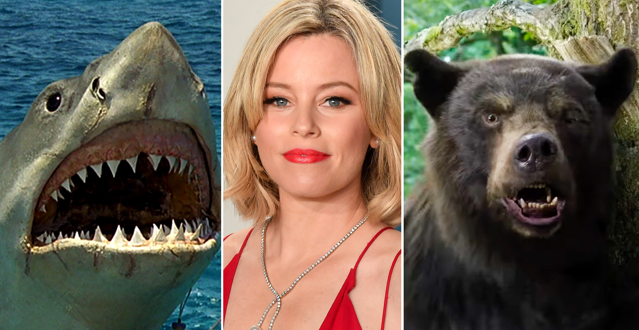 Elizabeth Banks, directora de Cocaine Bear, dice que estaría interesada en hacer ‘Cocaine Shark’, una versión de Tiburón en drogas