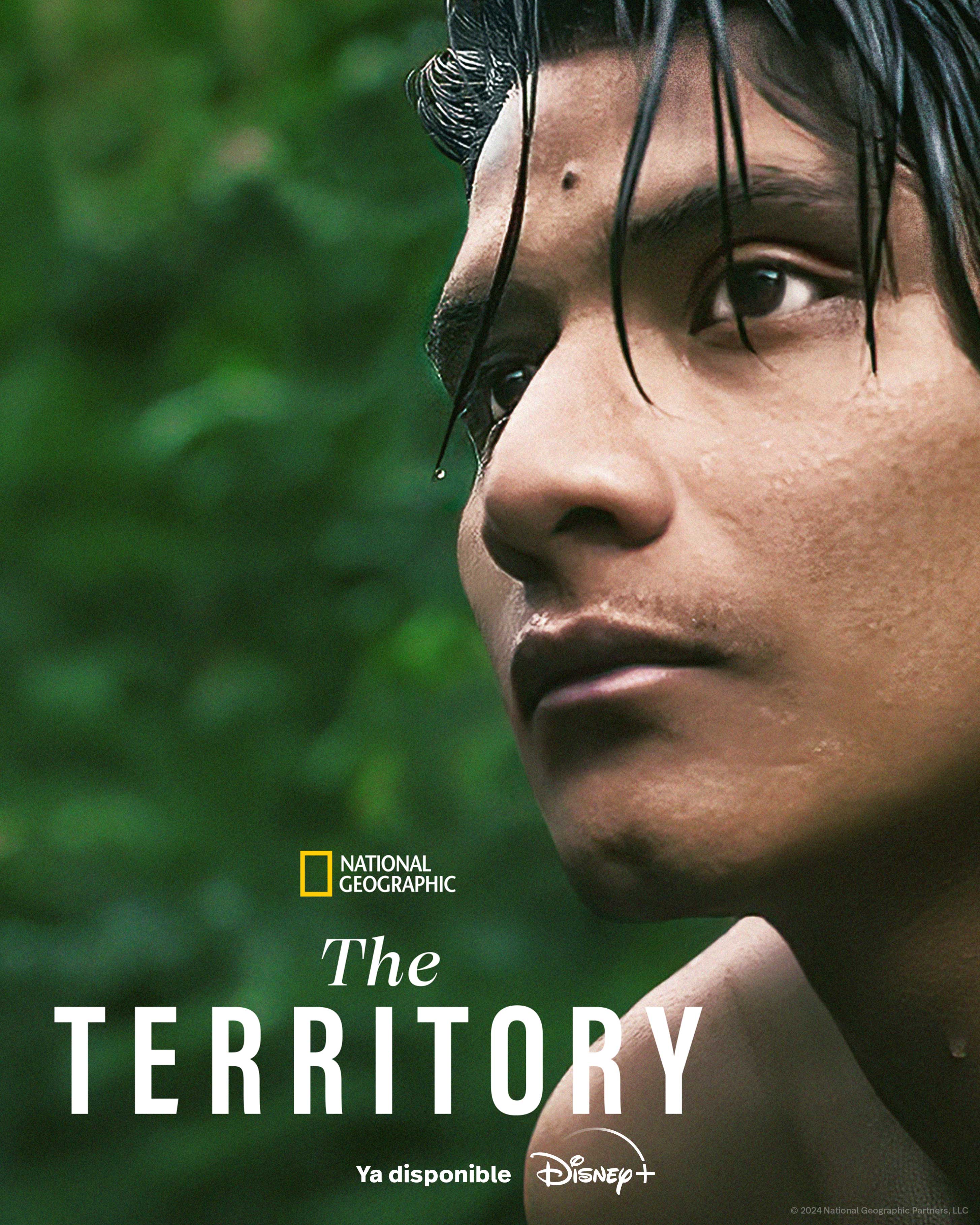 The Territory