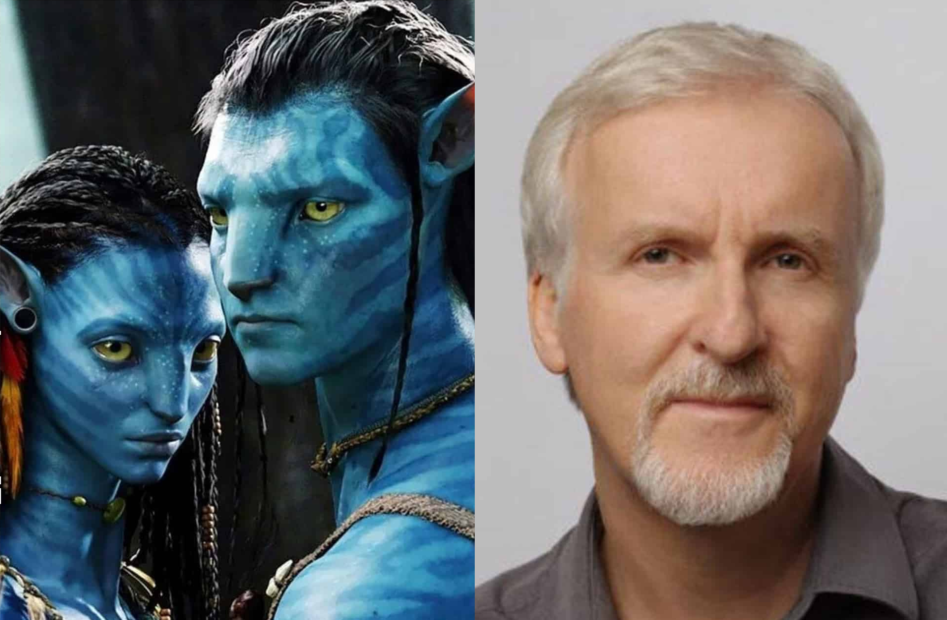 James Cameron dice que ya tiene ideas para Avatar 6 y 7