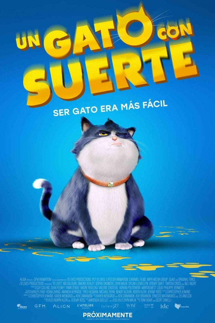 Un Gato con Suerte