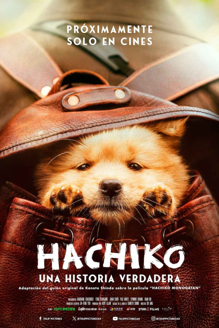 Hachiko: Una Historia Verdadera