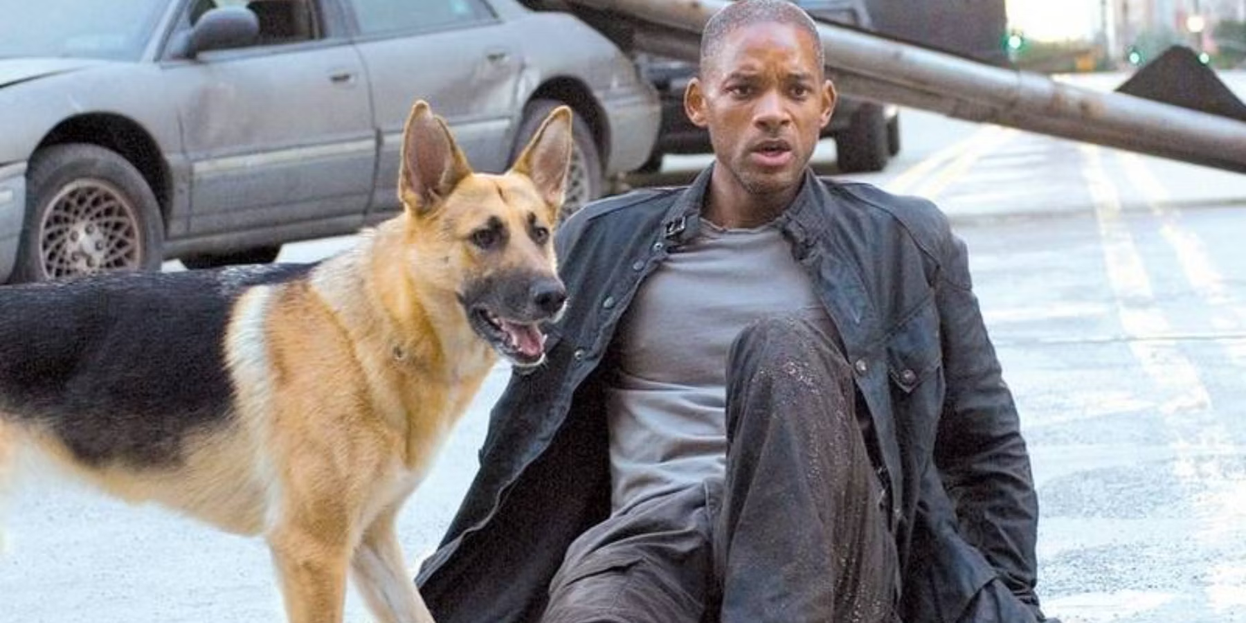 ‘Soy Leyenda’: Will Smith confiesa que quiso adoptar a su co-protagonista perruna