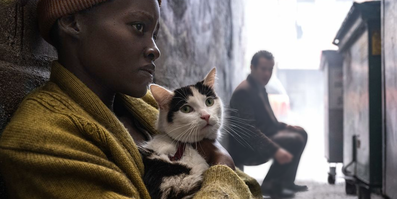 El gato de Lupita Nyong’o en ‘Un Lugar en Silencio: Día Uno’ que se ha robado el corazón del público