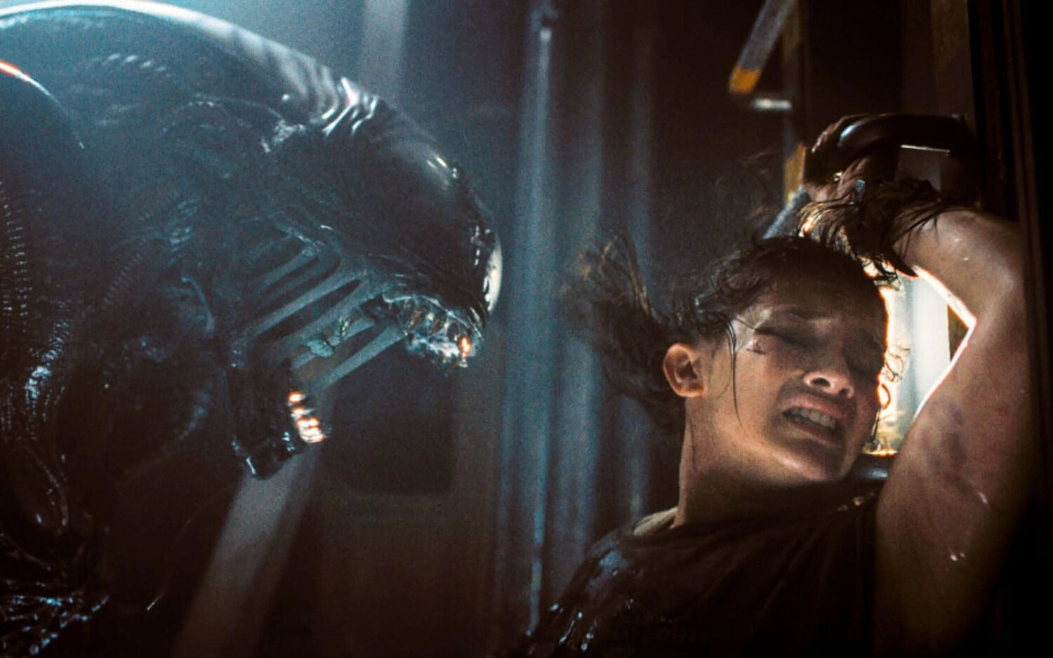 ‘Alien: Romulus’: ¿Por qué la estación espacial estaba repleta de Facehuggers y Xenomorfos?