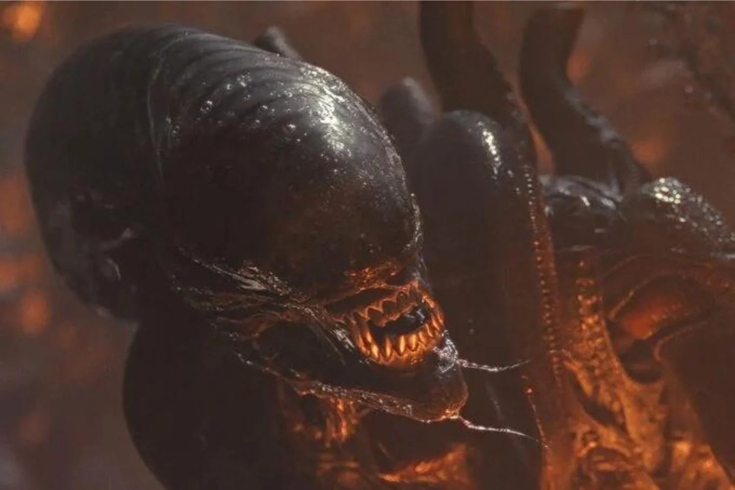 ‘Alien: Romulus’: Estas son las preguntas más importantes que nos dejó la película