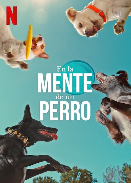 En la mente de un perro