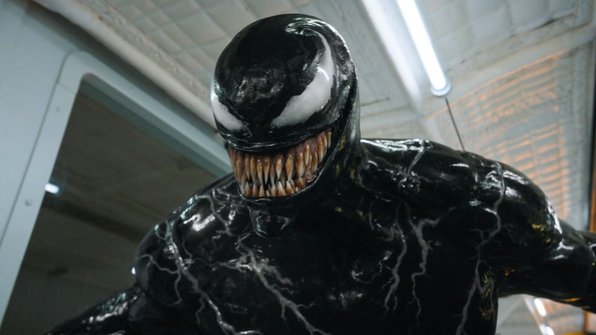 ¿Éxito o fracaso? ‘Venom: El Último Baile’, con Tom Hardy, necesita recaudar esto para triunfar en taquilla